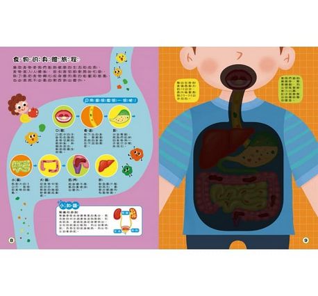 探照燈找一找：透視身體大解密